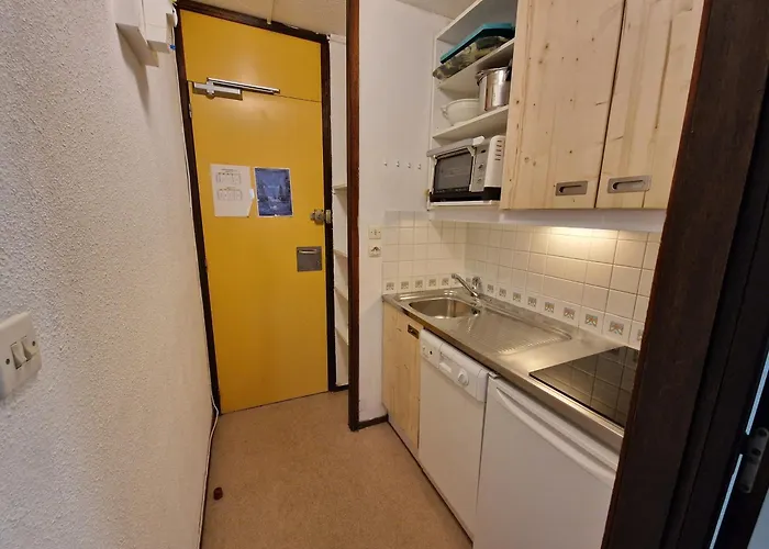 Appartement Fonctionnel Au Pied Des Pistes, Balcon Vue Sur Mont-blanc, Pour 3/4 Personnes - Fr-1-181-2617 La Plagne